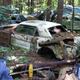 Illustration for article titled Massive Secret Mustang Junkyard Found In Rhode Island Forest